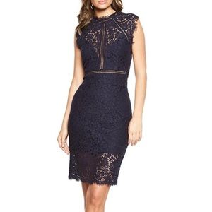 Bardot Navy Lace Dresss